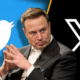 Elon Musk's Purchase of Xvideos: A Disruptive Move