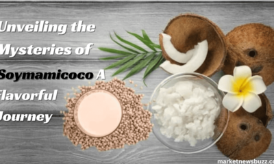 Unveiling the Mysteries of Soymamicoco: A Flavorful Journey