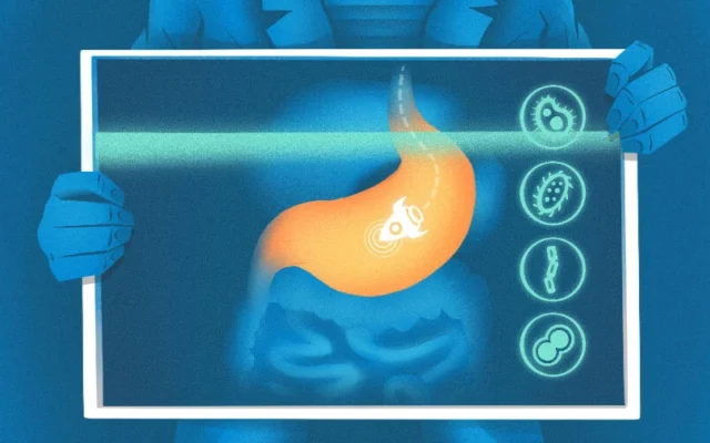Tiny Health Raises $33M To Explore What Gut Data Can Reveal About Future Health